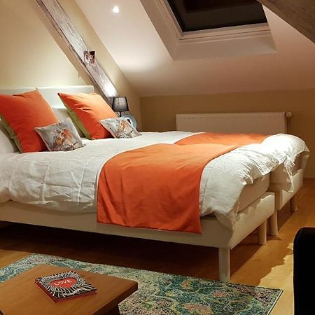 La Chouette Maison - Chambres D'Hotes Et Gite En Ville Remiremont Exteriér fotografie