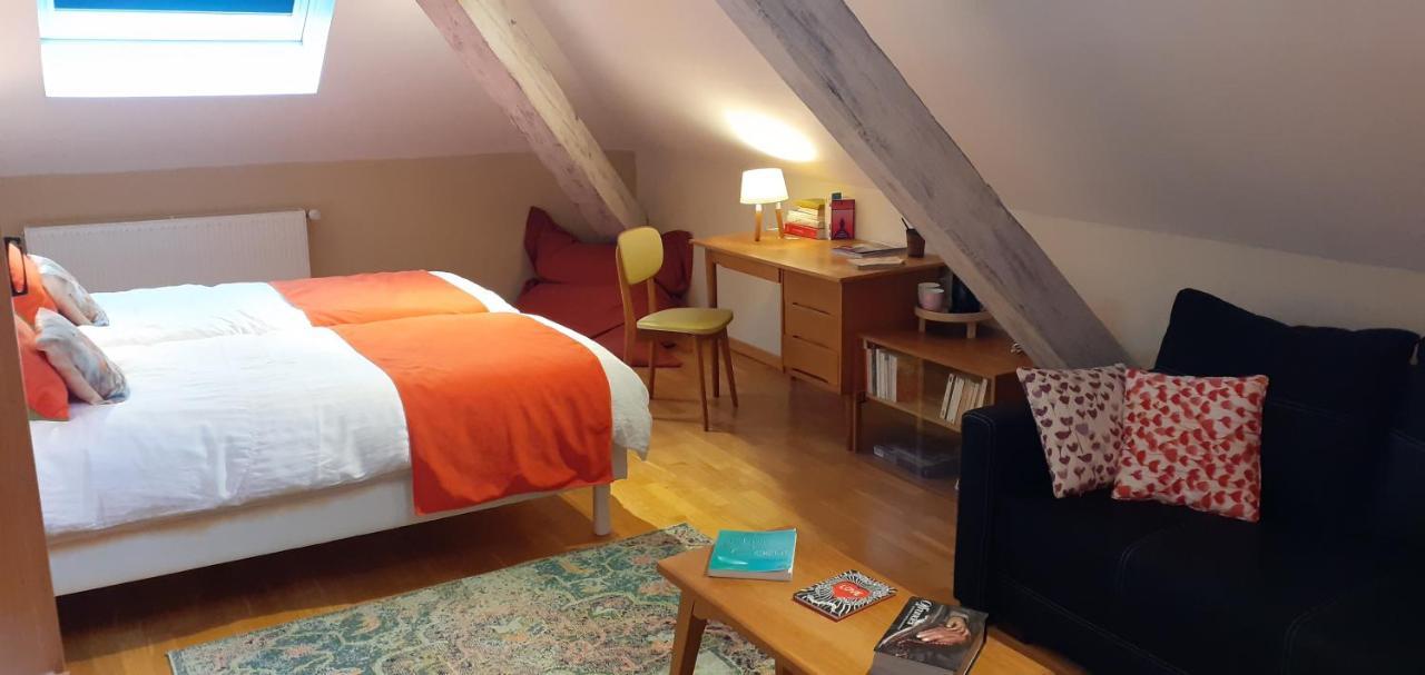 La Chouette Maison - Chambres D'Hotes Et Gite En Ville Remiremont Exteriér fotografie