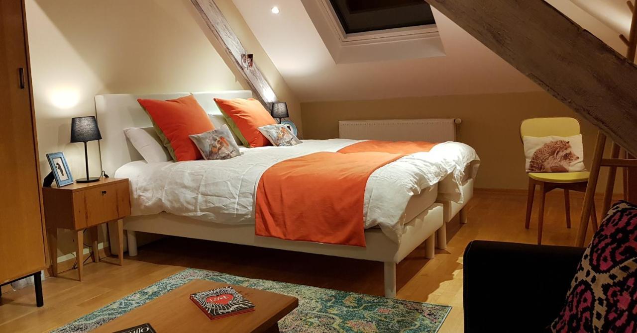 La Chouette Maison - Chambres D'Hotes Et Gite En Ville Remiremont Exteriér fotografie