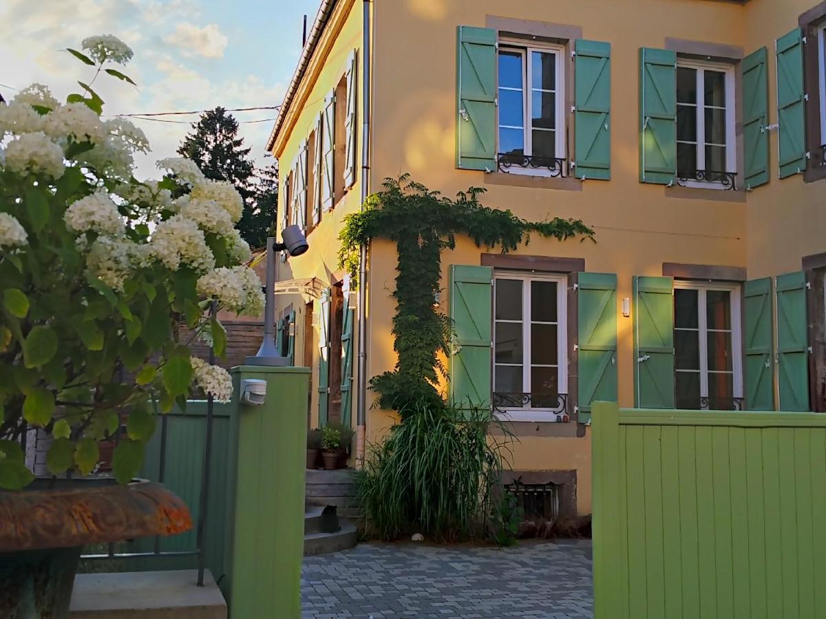 La Chouette Maison - Chambres D'Hotes Et Gite En Ville Remiremont Exteriér fotografie